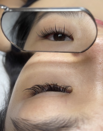 !! Design Lash Model Slot $75 (U.P. $105) !! Upper Lash only