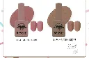BES-SWSHP_5.webp